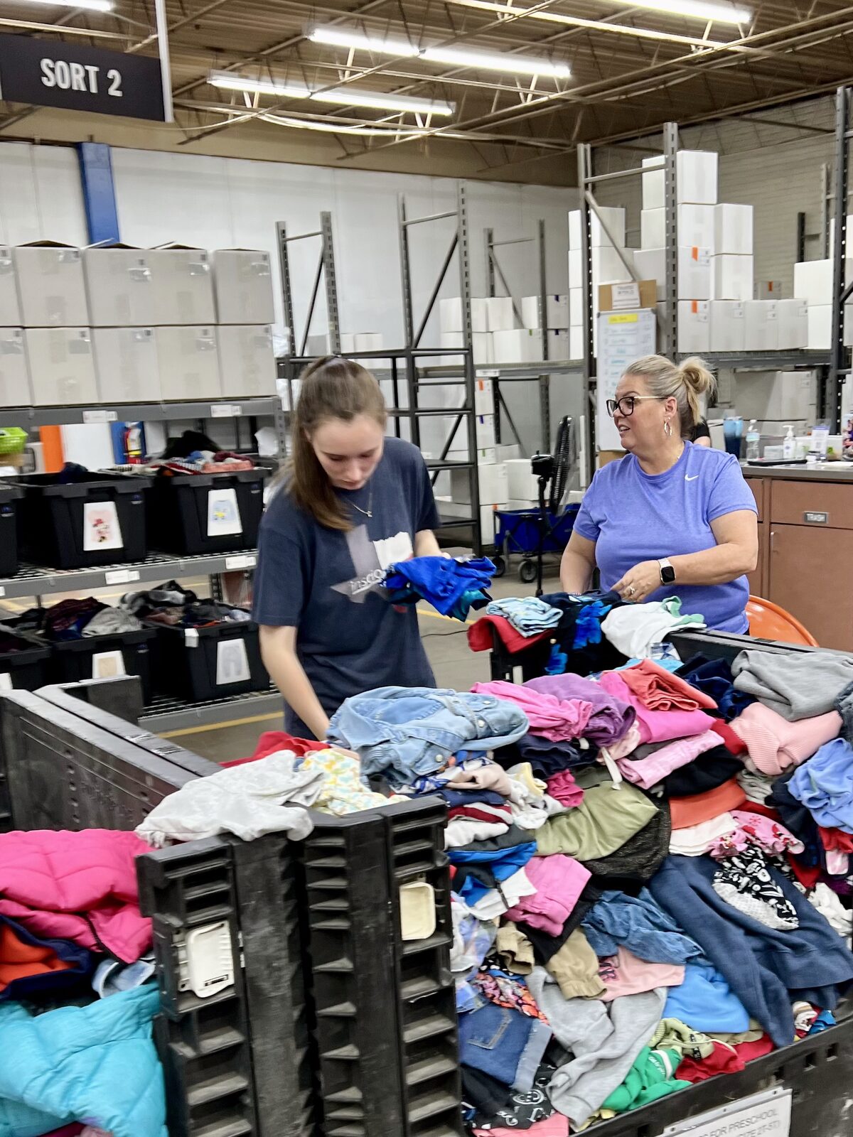 Inscio team volunteering
